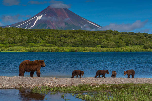 вулканы являются главными достопримечательностями полуострова Камчатка
